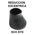 Reducción Excéntrica SCH STD