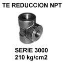 Serie 3000